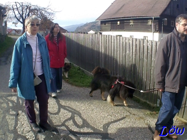 2.11.2025 - Heimmarsch